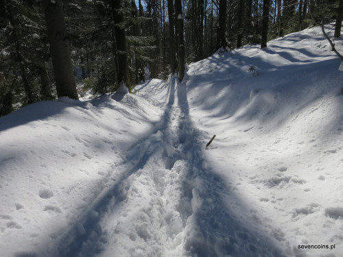Zasypana śniegiem ścieżka przyrodnicza